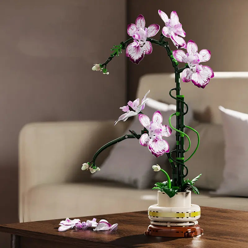 Cymbidium Orquídea Púrpura