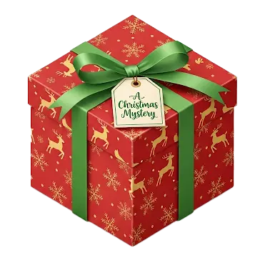 Pokémon Christmas Mystery Box