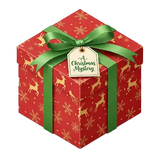 Pokémon Christmas Mystery Box