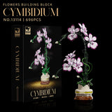 Cymbidium Purple Orchid