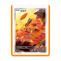 Orange Border Toploaders (25ct)