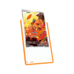 Orange Border Toploaders (25ct)