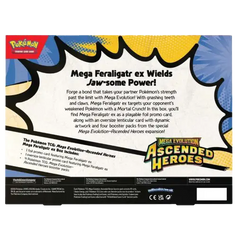 Mega Feraligatr ex Collection Box back showing information and details about Mega Evolution and Ascended Heroes.